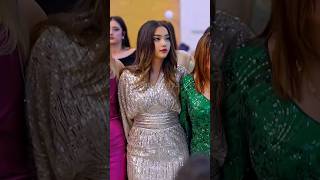 Harika Halay Great Dabke Dance Wedding Party [upl. by Acissehc]