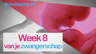 8 weken zwanger Bekijk symptomen echo van het kloppend hartje of een filmpje van het embryo [upl. by Nirek]