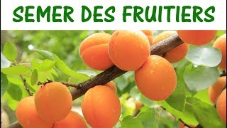 SEMER DES ARBRES FRUITIERS  semer des noyaux et pépins [upl. by Vashtia]