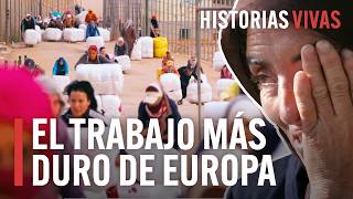 Las mulas humanas de Melilla el trabajo más duro de Europa  Historias Vivas  Documental HD [upl. by Jodie]