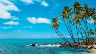 Caribbean Beach Jazz 247🌴Relaxing Tropical Music amp Bossa Nova with Ocean Waves Sounds for Good Mood [upl. by Hugibert522]