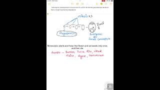 Monosporic development and Monocarpic plant shortsvideo [upl. by Potts]