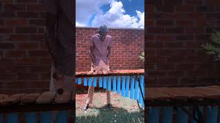 Takura  Haarore marimba [upl. by Dieball]