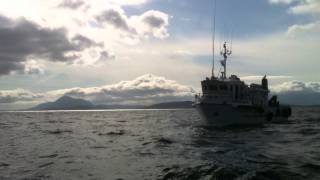 Clare Island Ferry Co Vessels Clew Bay Queen amp Pirate Queen [upl. by Eivets]