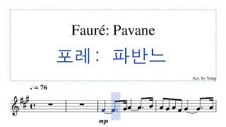 포레 파반느 바이올린 편곡 Fauré Pavane for Violin [upl. by Yotal871]