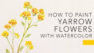 EASY watercolor flower tutorial YARROWS [upl. by Flam]