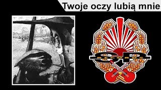 STRACHY NA LACHY  Twoje oczy lubią mnie OFFICIAL AUDIO [upl. by Granville549]