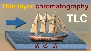 Thin Layer Chromatography TLC animation 2 [upl. by Blakeley273]