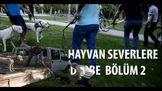 KÖPEKLERİMİZİ ALMAYA ÇALIŞTILAR VERMEDİK SON DURUM [upl. by Kaufmann]