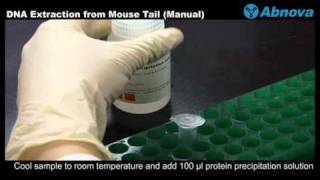 DNA Extraction from Mouse Tail Manual [upl. by Atram]