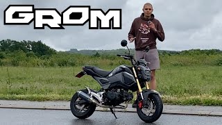 Why You NEED to Buy a Honda Grom in 2024 [upl. by Freya]