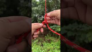 Wild Butterfly Knot bushcraft survivalskills camping outdoors [upl. by Nenerb]