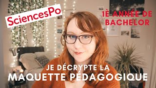 QUELS COURS à SCIENCES PO PARIS  1ère année sur TOUS LES CAMPUS [upl. by Erreip99]