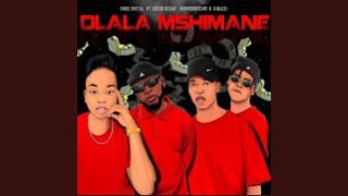 EnhleTheeDJ  Dlala Mshimane Official Audio ft Exceed DeeJay HarrisDontcare amp DBlaze AMAPIANO [upl. by Tuppeny]