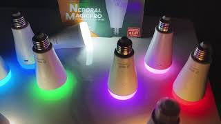 Neporal MAGICPRO Smart Rechargeable Light Bulbs with Remote [upl. by Christiana]