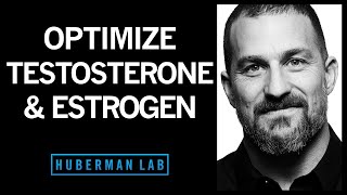 The Science of How to Optimize Testosterone amp Estrogen [upl. by Alyacim]