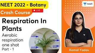 Respiration In Plants  Aerobic Respiration One Shot  Part 1  NEET 2022 Crash Course  Komal Yadav [upl. by Dolf]