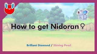 How to get Nidoran♀ in Pokémon Brilliant Diamond amp Shining Pearl 029 [upl. by Sivad]