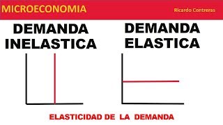 Elasticidad demanda elástica e inelastica [upl. by Trescott]