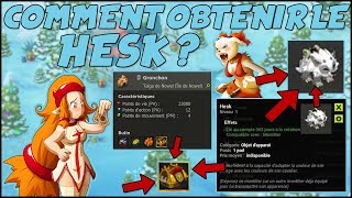 DOFUS  COMMENT OBTENIR LE NOUVEAU HURLEDENT CAMÉLEON  quot HESK quot [upl. by Lamok]