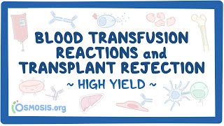 Blood transfusion reactions and transplant rejection Pathology Review [upl. by Zetta882]