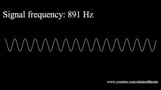 20Hz to 20kHz Human Audio Spectrum [upl. by Effie]