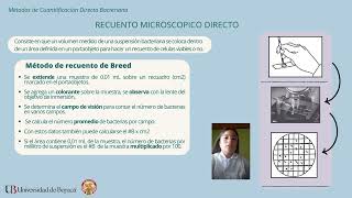 Medidas directas e indirectas del crecimiento bacteriano [upl. by Louisa]