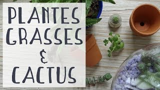 Atelier rempotage de succulentes  Tuto jardinage  Jungle urbaine [upl. by Venable825]