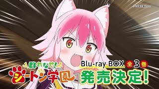 TVアニメ「群れなせ！シートン学園」Bluray CM [upl. by Esinert741]