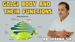 GOLGI BODY AND THEIR FUNCTIONS [upl. by Thekla137]