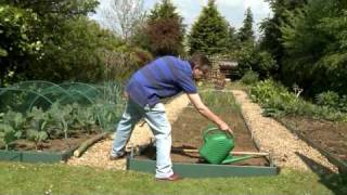 Kitchen Garden magazine Sowing Carrots [upl. by Nedle]