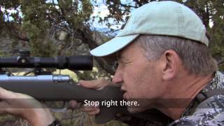 Hunting Arizona Elk with Randy Newberg  OYOA S4 E8 [upl. by Ocsirf]