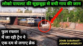 ⚠️ EMERGENCY BREAKING By  20486 Sabarmati jodhpur Intercity  BGKT Wdp 4D 40128 Dual Cab Honking [upl. by Abigail62]