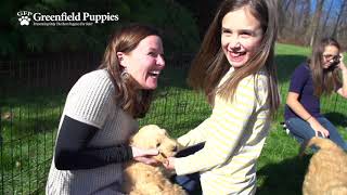 Greenfield Puppies Commercial 20 Seconds [upl. by Mordy]