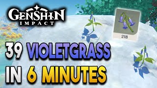 Violetgrass Locations Old  Fast and Efficient  Ascension Materials 【Genshin Impact】 [upl. by Eux540]