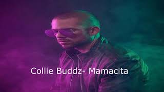 Collie Buddz  Mamacita subtitulado al español [upl. by Jenni394]