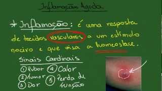 Inflamação Aguda  Resumo  Patologia Geral [upl. by Greenwood]