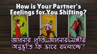 How is Your Partners Feelings for You Shifting🍂 আপনার প্রতি আপনার সঙ্গীর অনুভূতি কি ভাবে বদলাচ্ছে [upl. by Ahtiuqal]