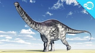 Did The Brontosaurus Exist [upl. by Nywrad792]