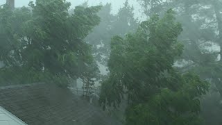 Heavy Rain and Wind Sounds For Sleeping  Relaxation  10 Hours [upl. by Ennahoj824]