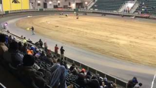 2017 9th Annual Indoor Dirt Karting Championships  Williamston NC  Pro Clone 3000 To Win [upl. by Orland]