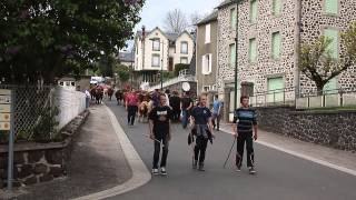 Troupeau de Salers  Fête des Cloches et des Sonnailles Cheylade [upl. by Hgielah461]