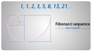 How to draw  the Fibonacci sequence  golden spiral  step by step tutorial english [upl. by Darrell720]