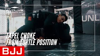 BJJ  How To Execute A Lapel Choke From The Turtle Position [upl. by Thorncombe418]