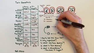 Twin Genetics and Types of Twins [upl. by Strait]