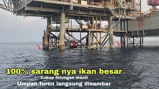 JANGAN SAMPAI LENGAH MANCING IKAN BERGEROMBOL BESAR BESAR MANCING IKAN BESAR [upl. by Eannej]