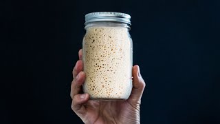 My Easy and Wild SOURDOUGH STARTER Recipe shorts [upl. by Rodolphe]