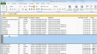 Cómo insertar columnas y filas en Excel [upl. by Lalad]