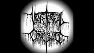 Vomitorial Corpulence xVxCx  One Question amp One Answer LYRIC VIDEO Xian GrindcoreGoregrind [upl. by Leiahtan]