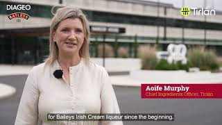 DIAGEO amp TIRLÁN LAUNCH 2024 BAILEYS COW [upl. by Chubb]